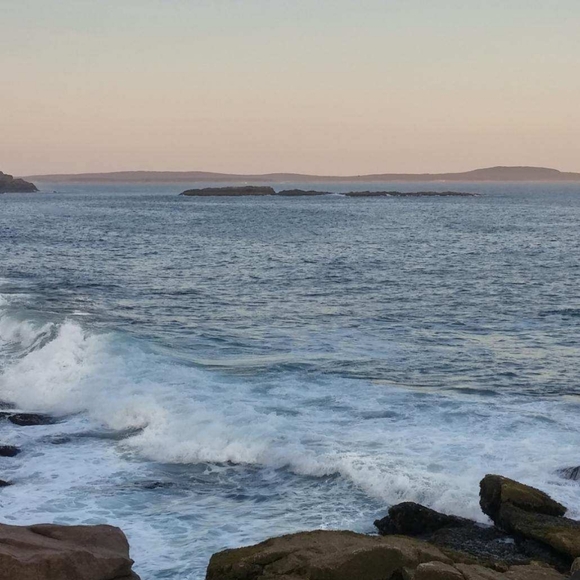 Meet your Posher, Fortunata - Picture 4 of 4